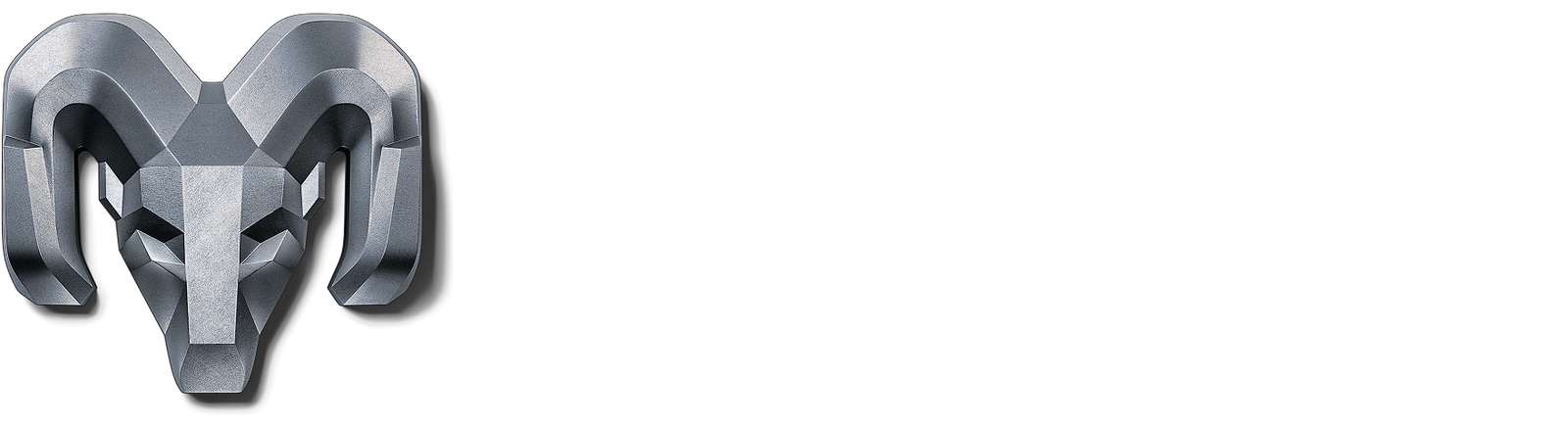 RAM